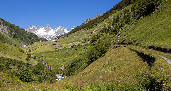 Blick Richtung Sustenpass