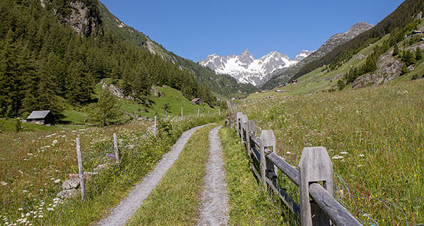 Wandern im Meiental