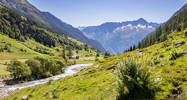 Sommer im Meiental