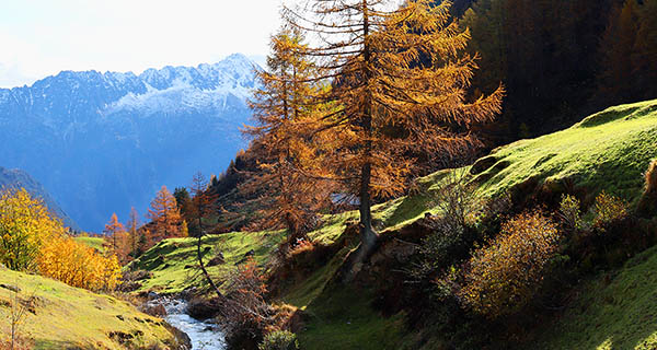 Meiental im Herbst